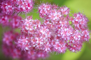 Similar image 11073779