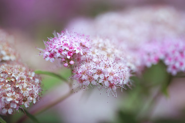 Similar image 11073781