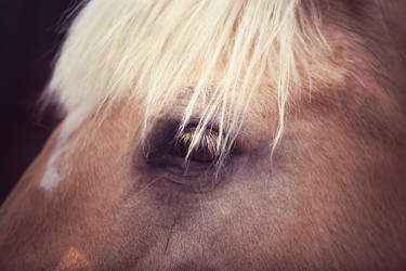 Similar image 11073784