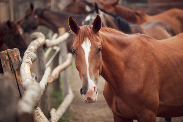 Similar image 11073788