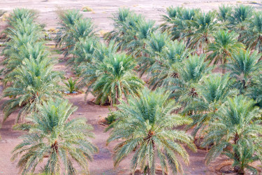 Similar image 11072096