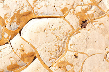 Similar image 11072116