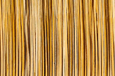 Similar image 11072118