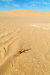 Similar image 11072312