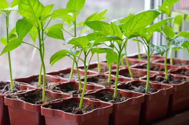 Similar image 11045699