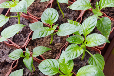 Similar image 11045702