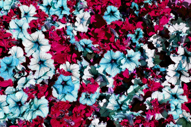 Similar image 11072573