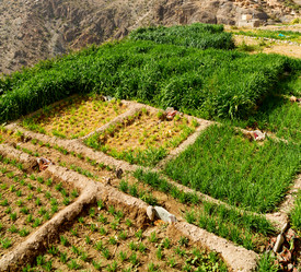 Similar image 11072870