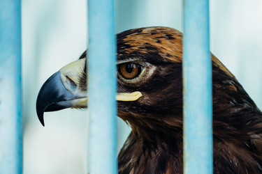 Similar image 11045714