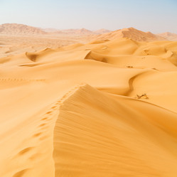 Similar image 11072910