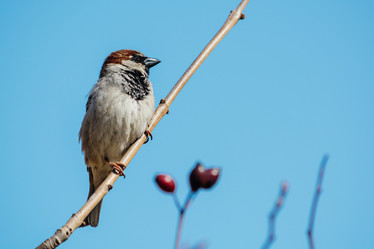 Similar image 11045717