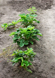 Similar image 11046317