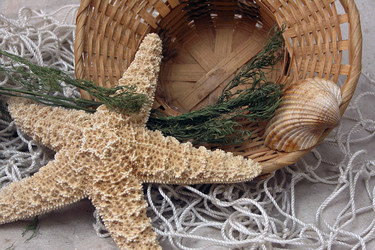 Similar image 11045847