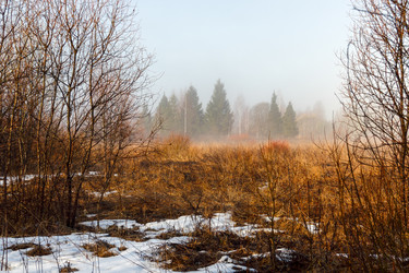 Similar image 11046319