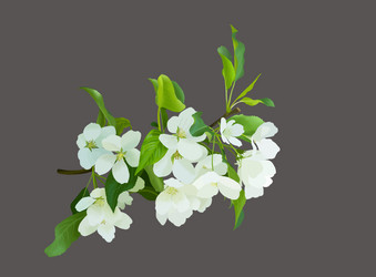 Similar image 11045710