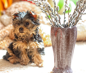 Similar image 11134628