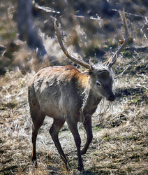 Similar image 11045728