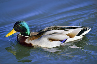 Similar image 11045731