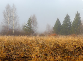 Similar image 11046323