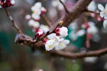 Similar image 11046328