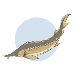 Similar image 11047944