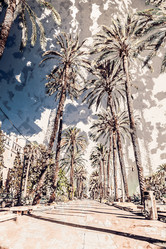 Similar image 11145150