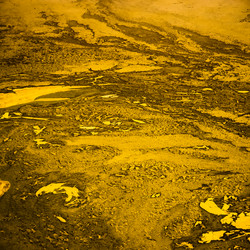 Similar image 11145155