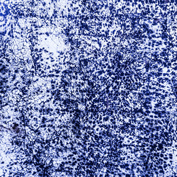 Similar image 11145159