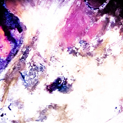 Similar image 11145189