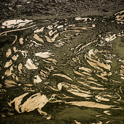 Similar image 11145193