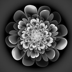 Similar image 11145450