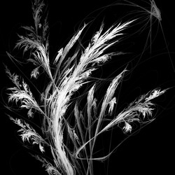 Similar image 11145452