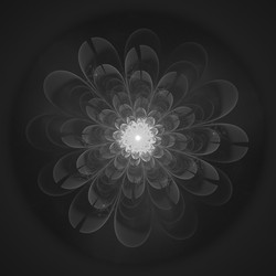 Similar image 11145131