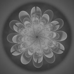 Similar image 11145173