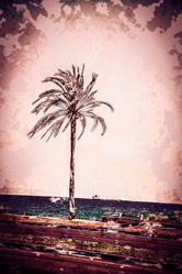 Similar image 11144986