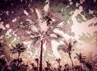 Similar image 11144712