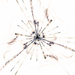 Similar image 11145061