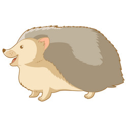 Similar image 11047931