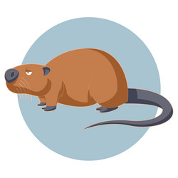 Similar image 11048143