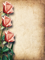 Similar image 11047727