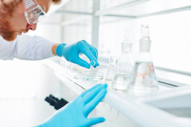 Similar image 11047247