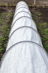 Similar image 11057648