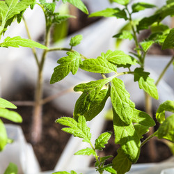 Similar image 11058164