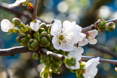 Similar image 11055783