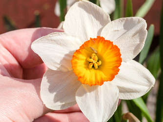 Similar image 11055786