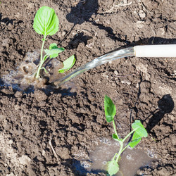 Similar image 11057380