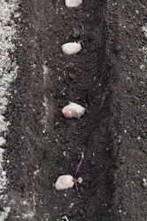 Similar image 11057575