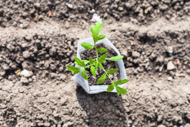 Similar image 11057593