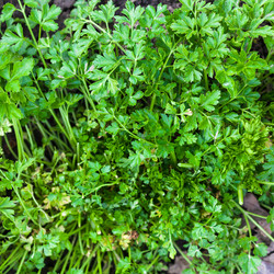 Similar image 11057601