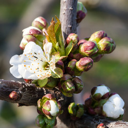 Similar image 11057603